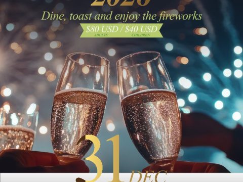 A Sparkling Night to Welcome 2026 - Radisson Blu Aruba